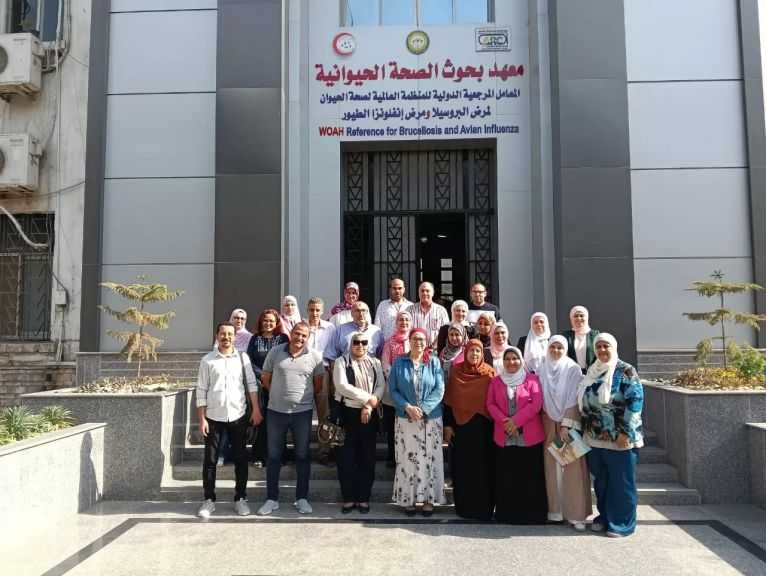 بنجاح 100%.. ”بحوث الصحة الحيوانية” يجتاز اختبارات دولية في تشخيص فيروسات الدواجن