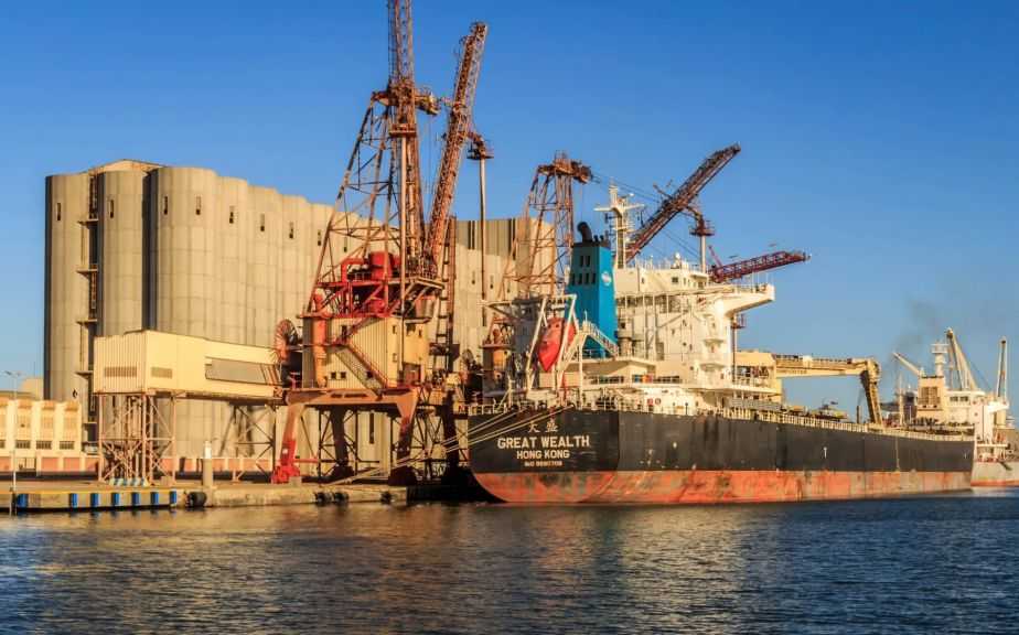 ميناء دمياط يستقبل 53 ألف طن من القمح الأوكراني لصالح القطاع العام