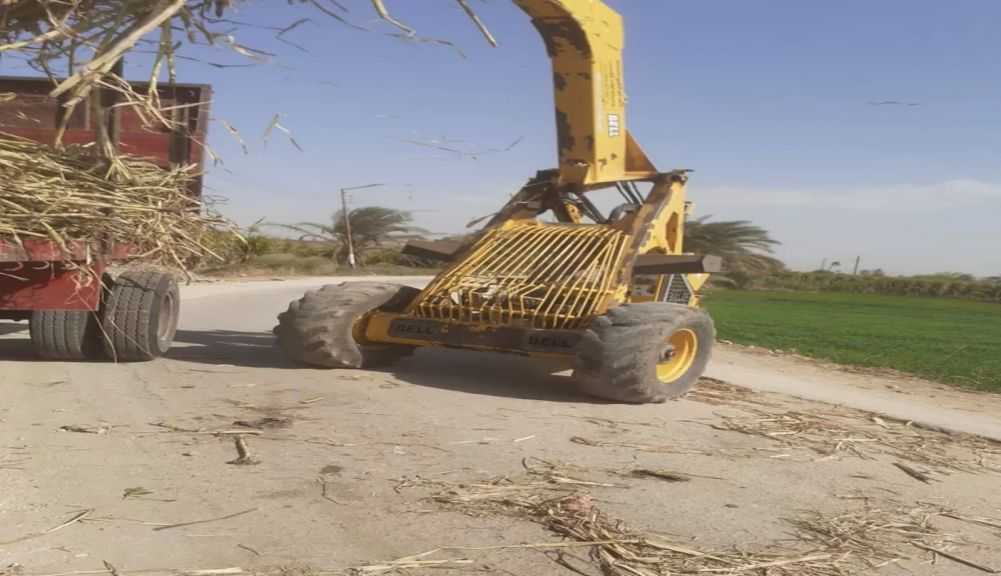 ”الإصلاح الزراعي” تُزيل 103 حالات تعدي على الأراضي وتُتابع زراعات القمح وبنجر السكر خلال ديسمبر| صور