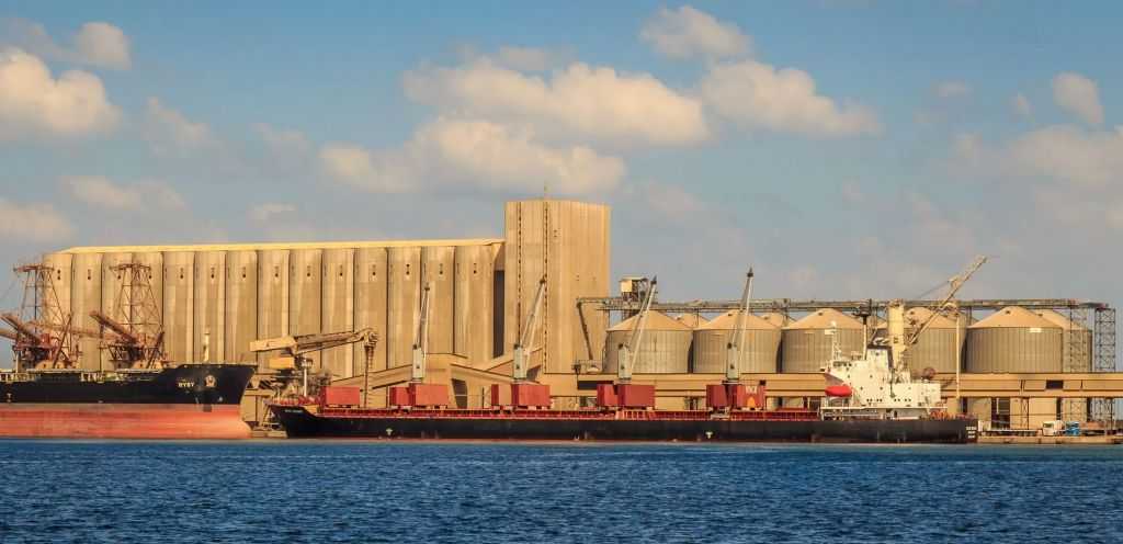 ميناء دمياط يستقبل 60.5 ألف طن قمح روسي لصالح القطاع العام