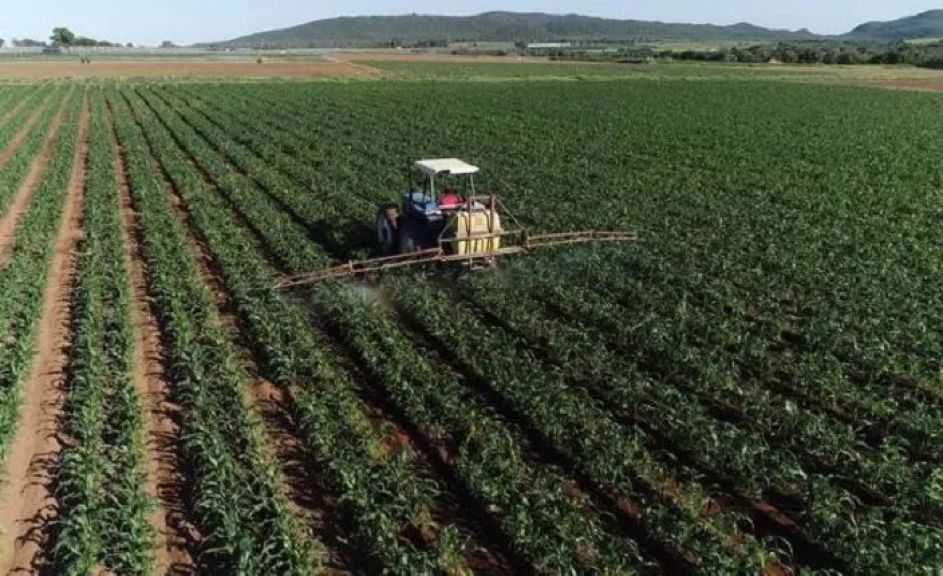 مجلس الوزراء يُقر بفسخ التعاقد مع غير الملتزمين بسداد أقساط أراضي ”التنمية الزراعية”