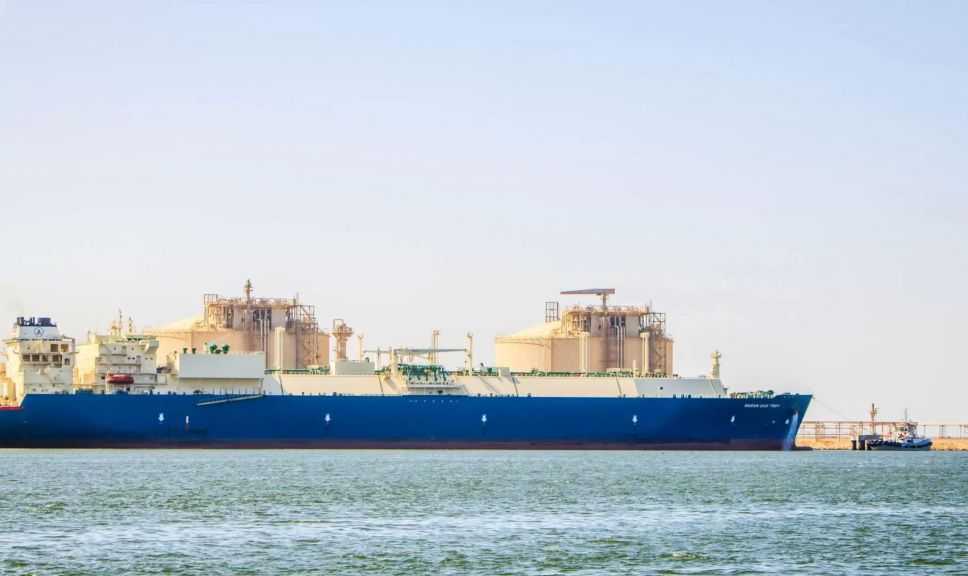 تضم ذرة وقمح وزيت.. ميناء دمياط يستقبل 64321 طنًا من البضائع