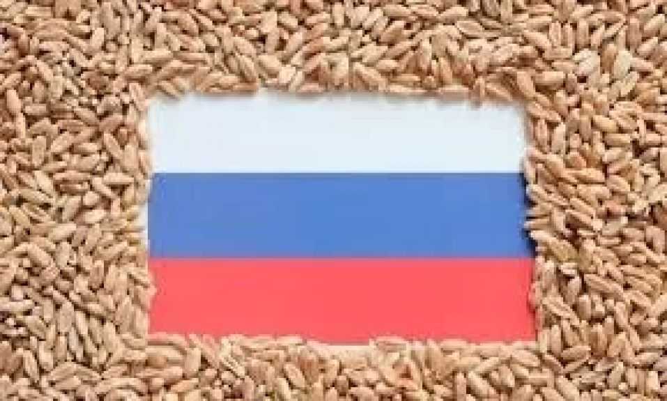 روسيا تتطلع لتعزيز صادراتها الزراعية عبر مشاريع التجهيز والتعبئة في الخارج