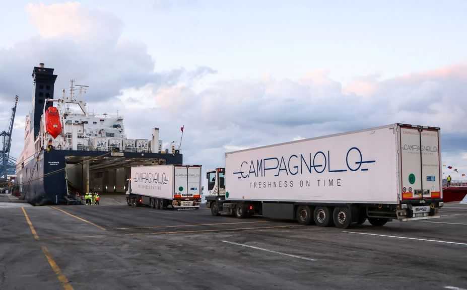 تضم ذرة وقمح وحديد.. ميناء دمياط يستقبل 72012 طن من البضائع