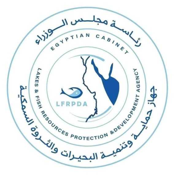 ”تنمية البحيرات” إنتاج 33 طنًا من الأسماك بمزرعة المنزلة السمكية