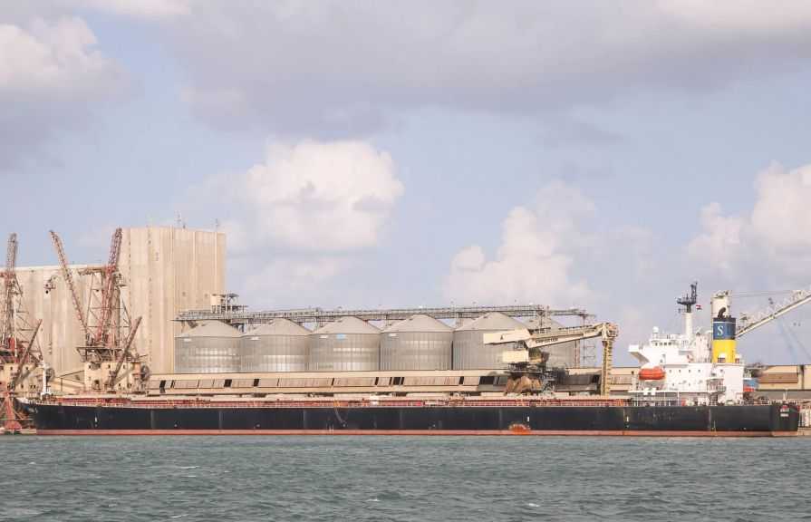 ميناء دمياط يستقبل 65.5 ألف طن قمح أوكراني لصالح القطاع العام