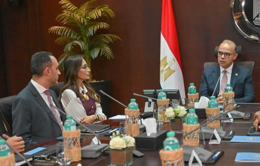 وزير الاستثمار يُناقش مع ”نيسان” خططتها التوسعية في مصر