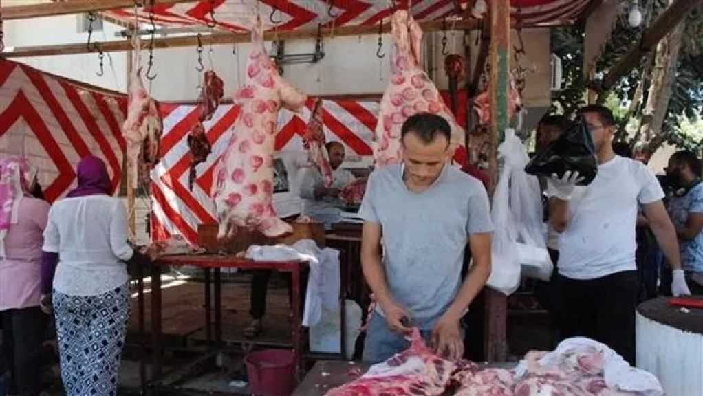 تخفيضات تصل إلى 30% في منافذ وزارة الزراعة بمناسبة رمضان.. اللحمة بـ 280 جنيها