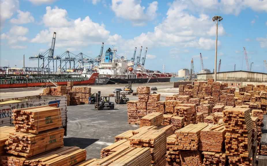 تضم قمح وذرة وصويا.. ميناء دمياط يستقبل 56469 طنًا من البضائع