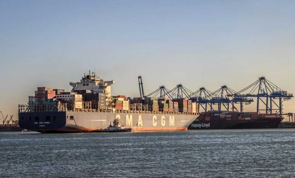 تضم قمح وذرة وفول.. ميناء دمياط يستقبل 31621 طنًا من البضائع