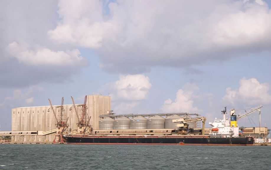 ميناء دمياط يستقبل 55 ألف طن من القمح الروسي لصالح القطاع العام