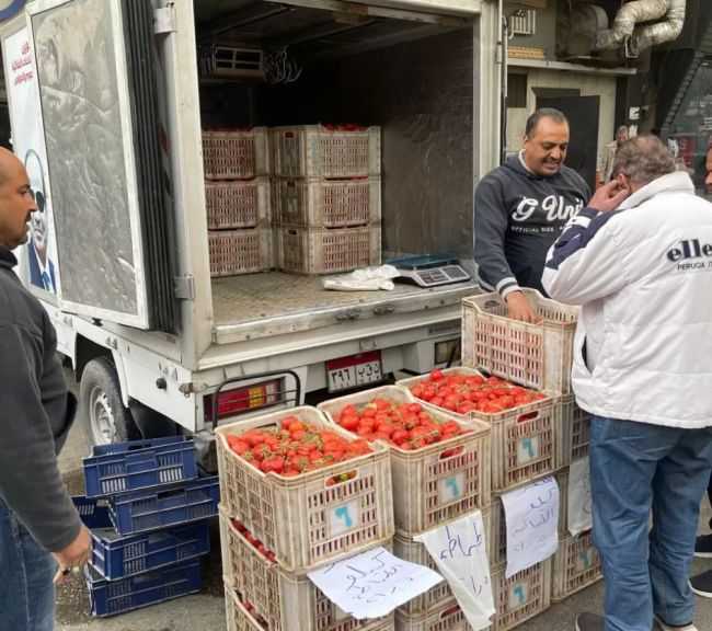 ”الصناعات الغذائية” تدفع بسيارات متنقلة لطرح الطماطم بأسعار مخفضة| صور