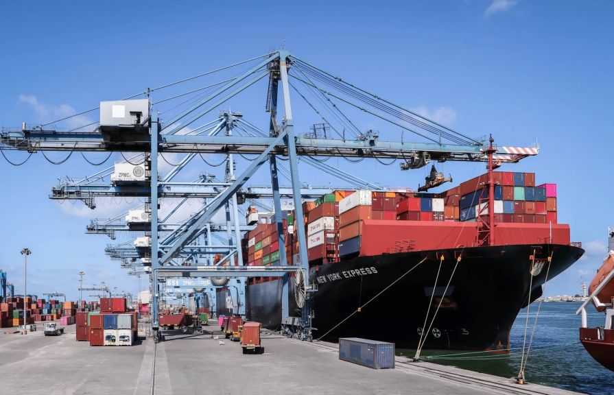 تضم ذرة وقمح وحديد.. ميناء دمياط يستقبل 27590 طنًا من البضائع