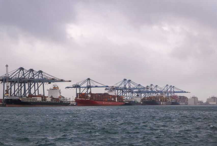 تضم قمح ومولاس.. ميناء دمياط يستقبل 11319 طنًا من البضائع