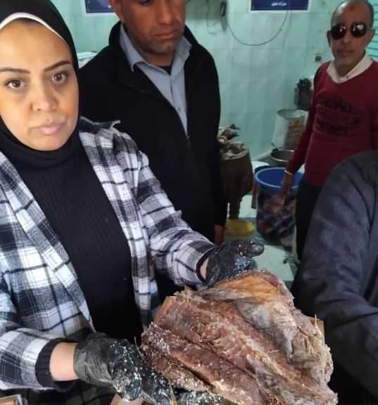 ”الخدمات البيطرية” تضبط 4.3 أطنان من اللحوم والدواجن والأسماك غير المطابقة للاشتراطات الصحية| صور