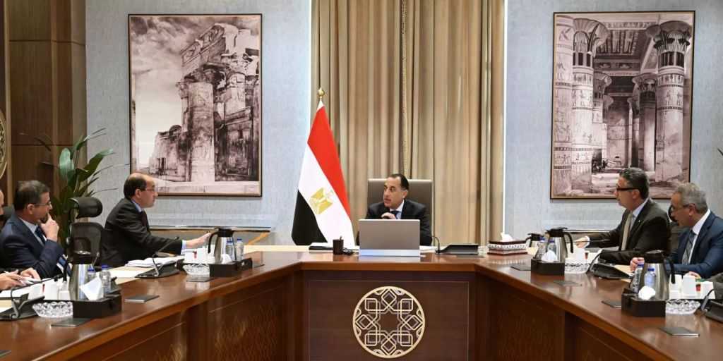 رئيس الوزراء يُتابع استعدادات توريد القمح المحلي.. ويُوجه بالإسراع في صرف مستحقات المزارعين المالية