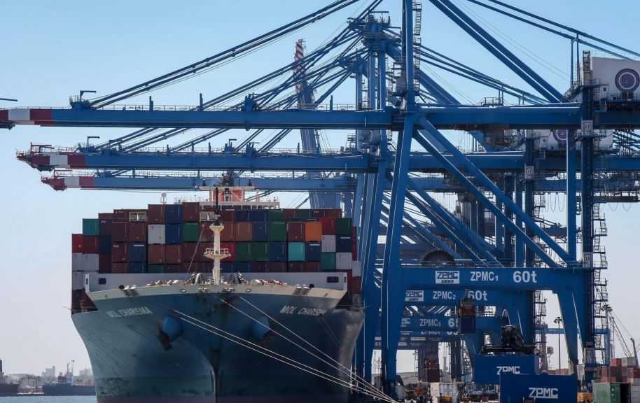 تضم قمح وذرة وماشية.. ميناء دمياط يستقبل 27235 طنًا من البضائع