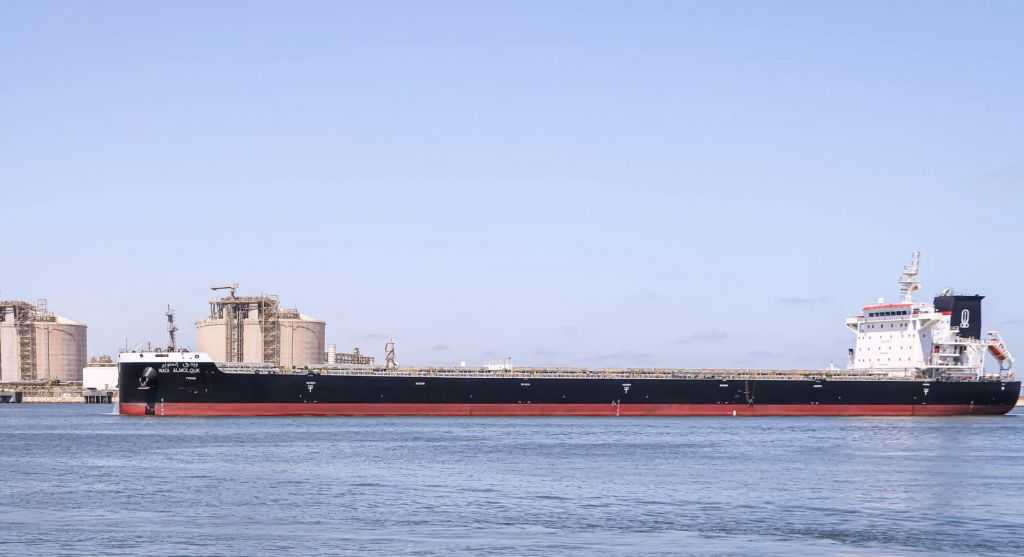 ميناء دمياط يستقبل 63 ألف طن من القمح الروسي لصالح القطاع العام