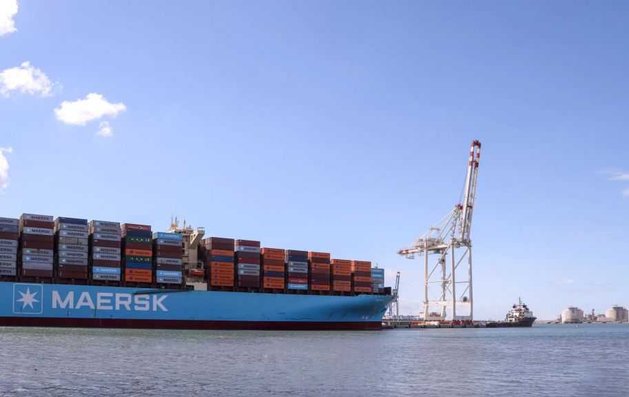 تضم قمح وذرة زيت.. ميناء دمياط يستقبل 54504 أطنان من البضائع