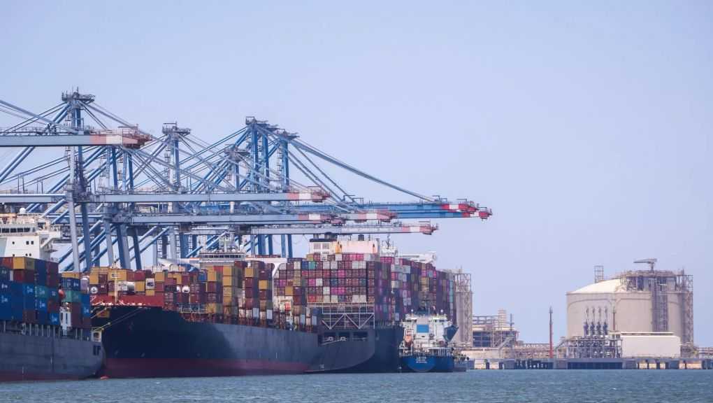 تضم قمح وذرة.. ميناء دمياط يستقبل 45041 طنًا من البضائع