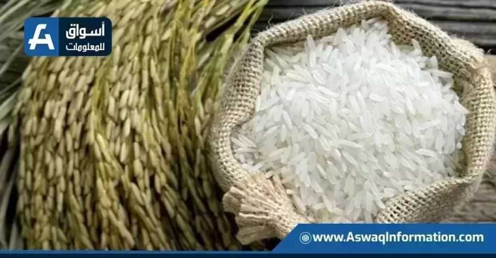 سعر الأرز اليوم الأربعاء عند التاجر.. بكام طن الشعير؟