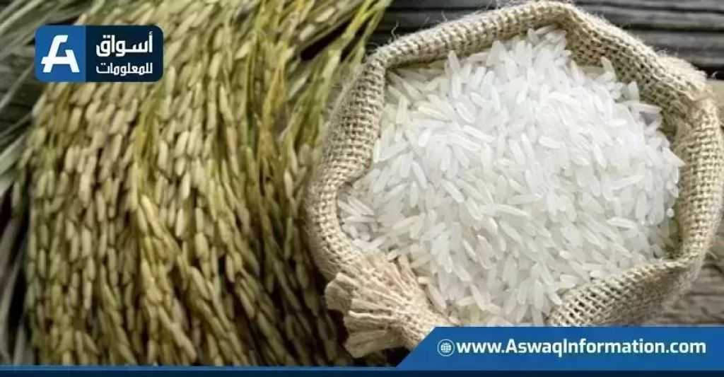 سعر الأرز اليوم الأحد عند التاجر.. بكام طن الشعير؟