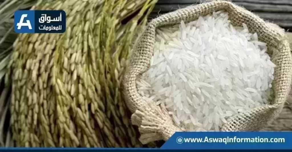 سعر الأرز اليوم الخميس عند التاجر.. بكام طن الشعير؟