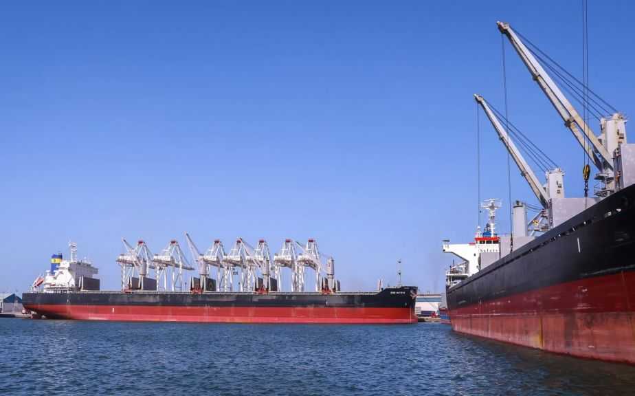 تضم قمح وذرة وزيت.. ميناء دمياط يستقبل 49373 طنًا من البضائع