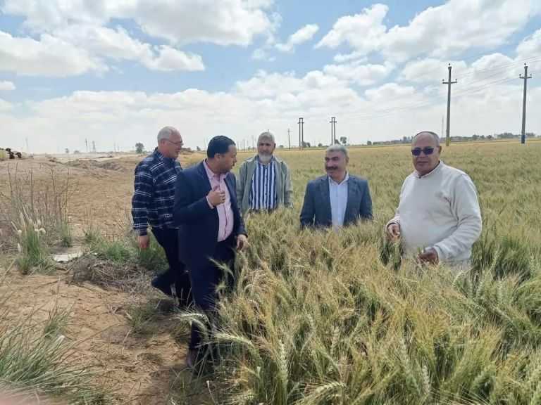 ”الزراعة” تُزيل 25 حالة تعدي في المهد.. وتتابع زراعات القمح وبنجر السكر والطماطم