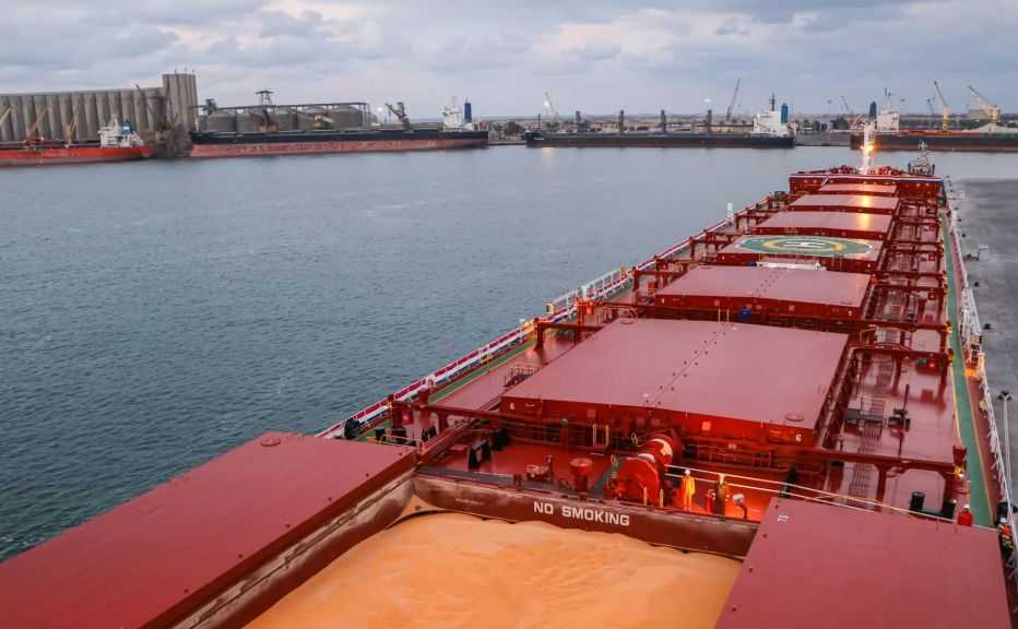 ميناء دمياط يستقبل 16.5 ألف طن قمح كندي لصالح القطاع الخاص