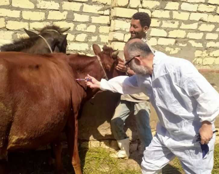 ”الخدمات البيطرية” تُحصن 4.4 ملايين رأس ماشية ضد الحمى القلاعية وحمى الوادي المتصدع
