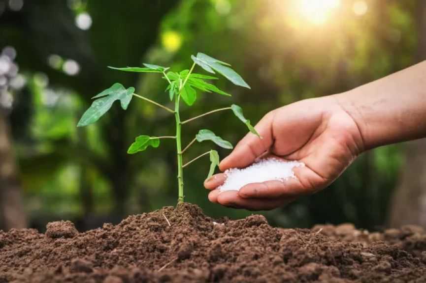 ”الزراعة” تُوفر حزمة متنوعة من المخصبات الحيوية لدعم الصادرات المصرية