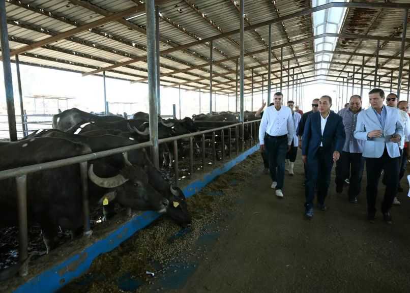رئيس الوزراء يتفقد محطة الإنتاج الحيواني وتصنيع الألبان التابعة لـ”الزراعة”| صور