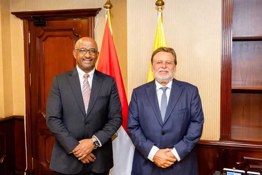 مصر وإسواتيني تبحثان تبادل الخبرات في مختلف المجالات المصرفية