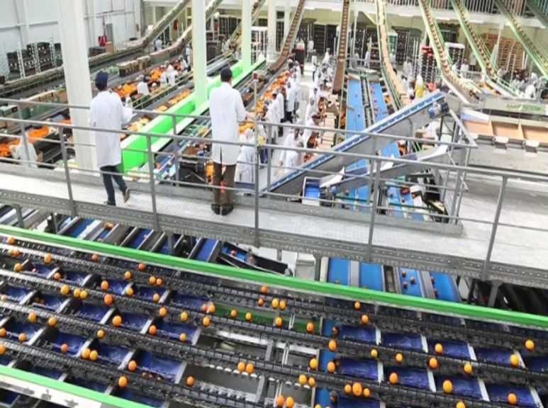 الصادرات الزراعية تسجل رقمًا قياسيًا بلغ 9.5 ملايين طن.. وفتح 60 سوقًا جديدًا