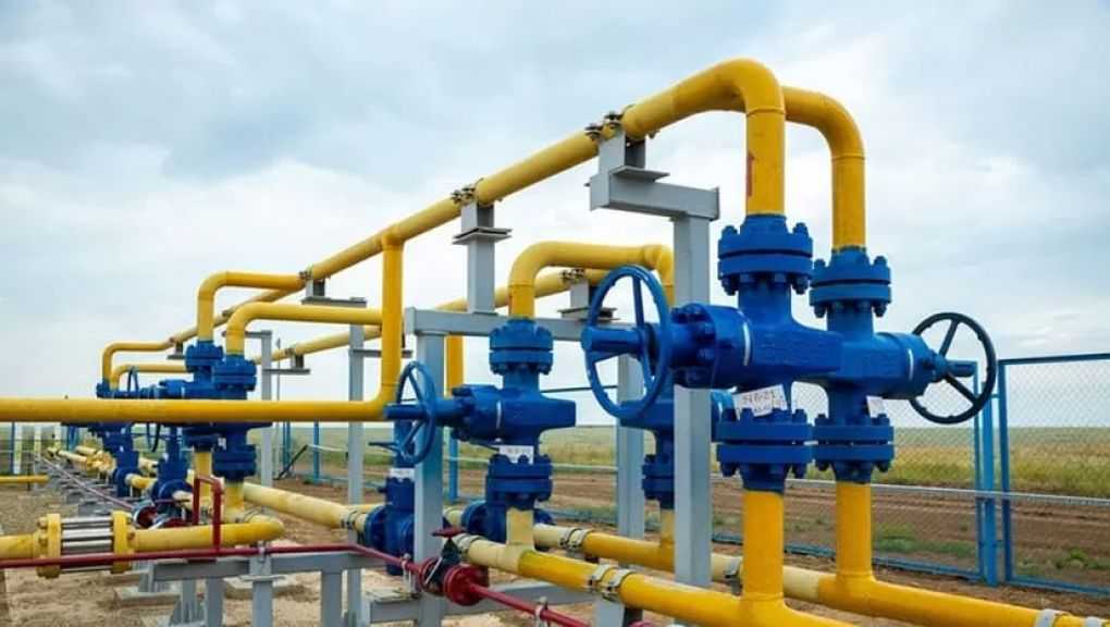 مجلس الوزراء: توسع في شبكات الغاز الطبيعي بمحافظات الصعيد لدعم جهود التنمية| إنفوجراف
