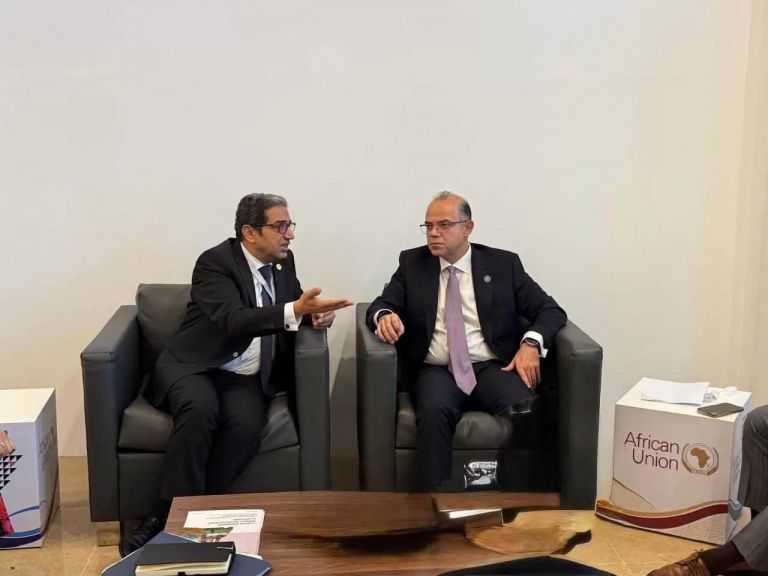 وزير الاستثمار يناقش مع ”أفريكسم بنك” ربط الشركات المصرية بالفرص التمويلية والتجارية في الأسواق الإفريقية