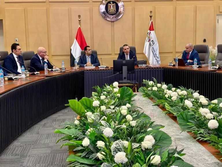 ”التمثيل التجاري” يُناقش مع 12 جهة وطنية تعزيز التعاون مع الدول الإفريقية بقطاعات الدواء والزراعة والثروة الحيوانية