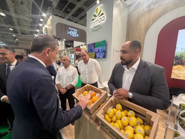 وزير الزراعة يُشارك في المعرض الدولي للفاكهة والخضروات Fruit Attraction 2026