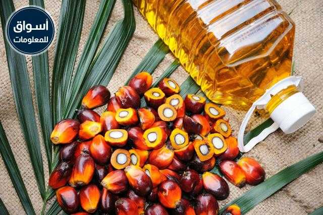 ارتفاع أسعار العقود الآجلة لزيت النخيل الماليزي في 10 أشهر خلال 2020..