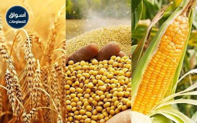 فول الصويا في أعلى مستوياته منذ يونيو 2018 وسط ارتفاع الطلب الصيني..