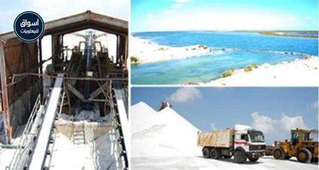 مصر تنتج 4.6 مليون طن ملح بقيمة مليار جنيه سنويًا نصفه من سيناء وسيوة..