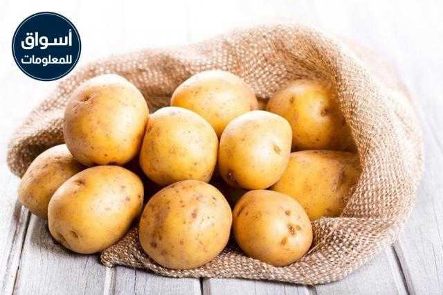 الزراعة: ارتفاع صادرات البطاطس لـ672709 طن و 5 إجراءات سبب زيادة الإنتاج..