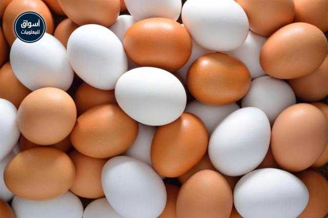 بورصة البيض فى مصر بأسواق الأحد 26 يوليو 2020..