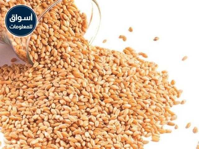 المستوردون الصينيون يقومون بشراء ما لا يقل عن خمس شحنات من فول الصويا الأمريكي..