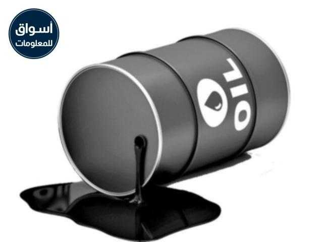 55 مليون دولار استثمارات التنقيب عن البترول فى الصحراء الغربية 2019..