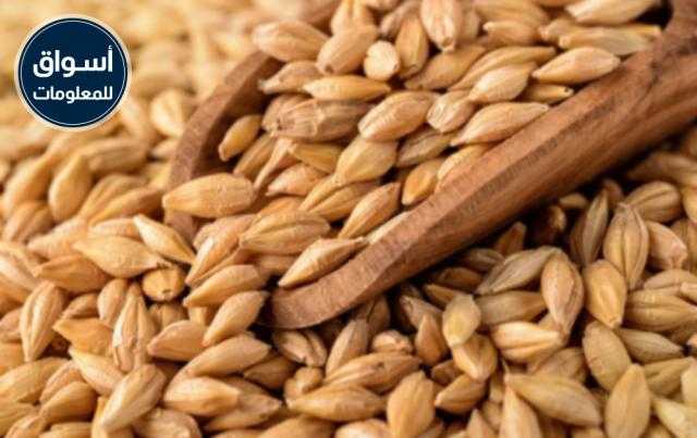 الشعير الشتوي الفرنسي يظهر إنتاجية متفاوته للغاية..