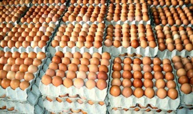 صورة أرشيفية - أطباق البيض الأحمر