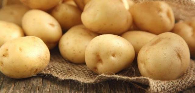 زيادة صادرات مصر من محصول البطاطس