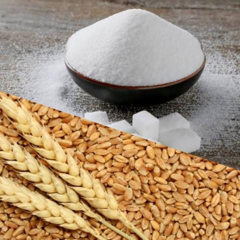 زيادة  إنتاج السكر والقمح